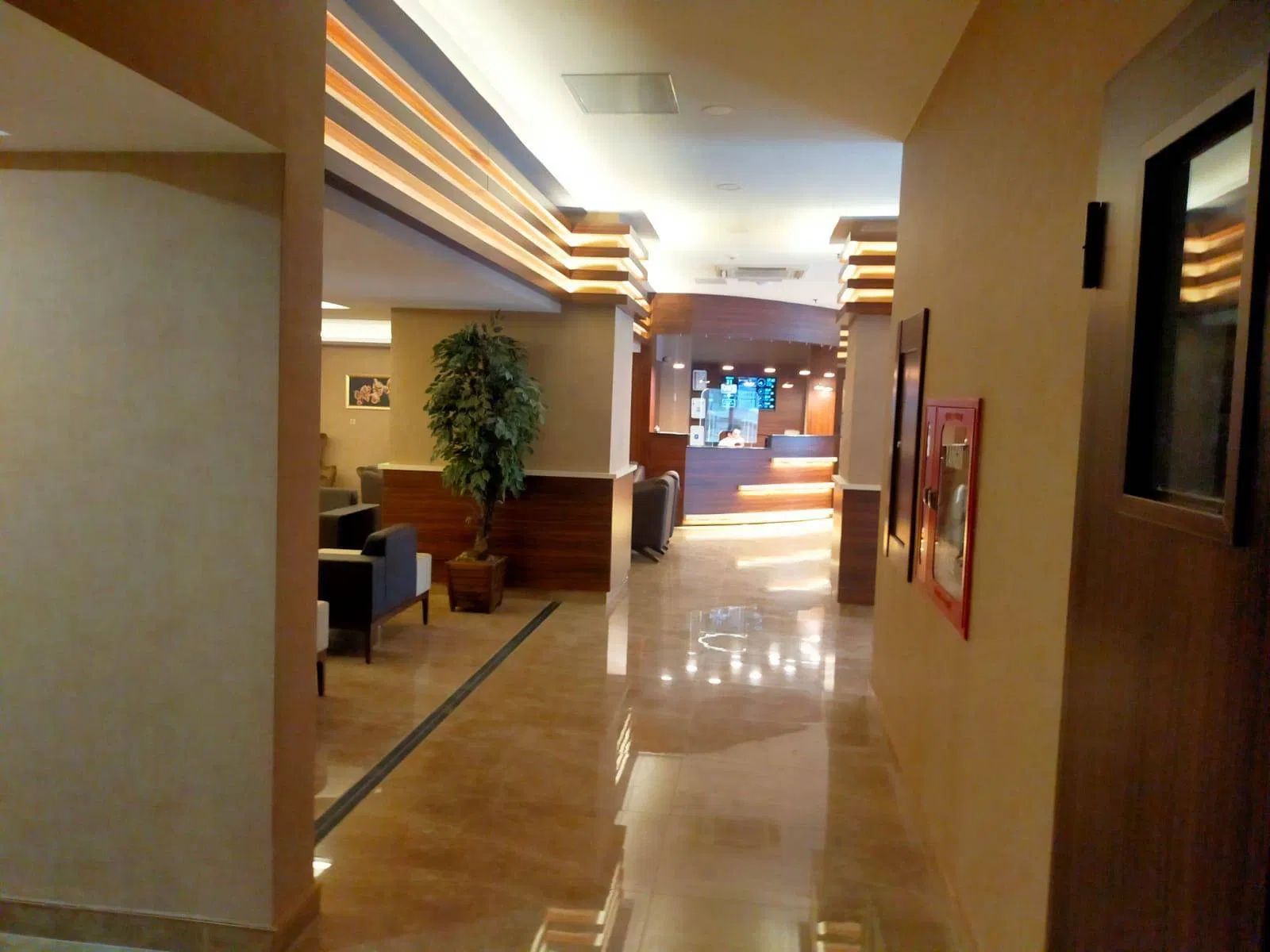 VOLEYBOL FEDERASYONU